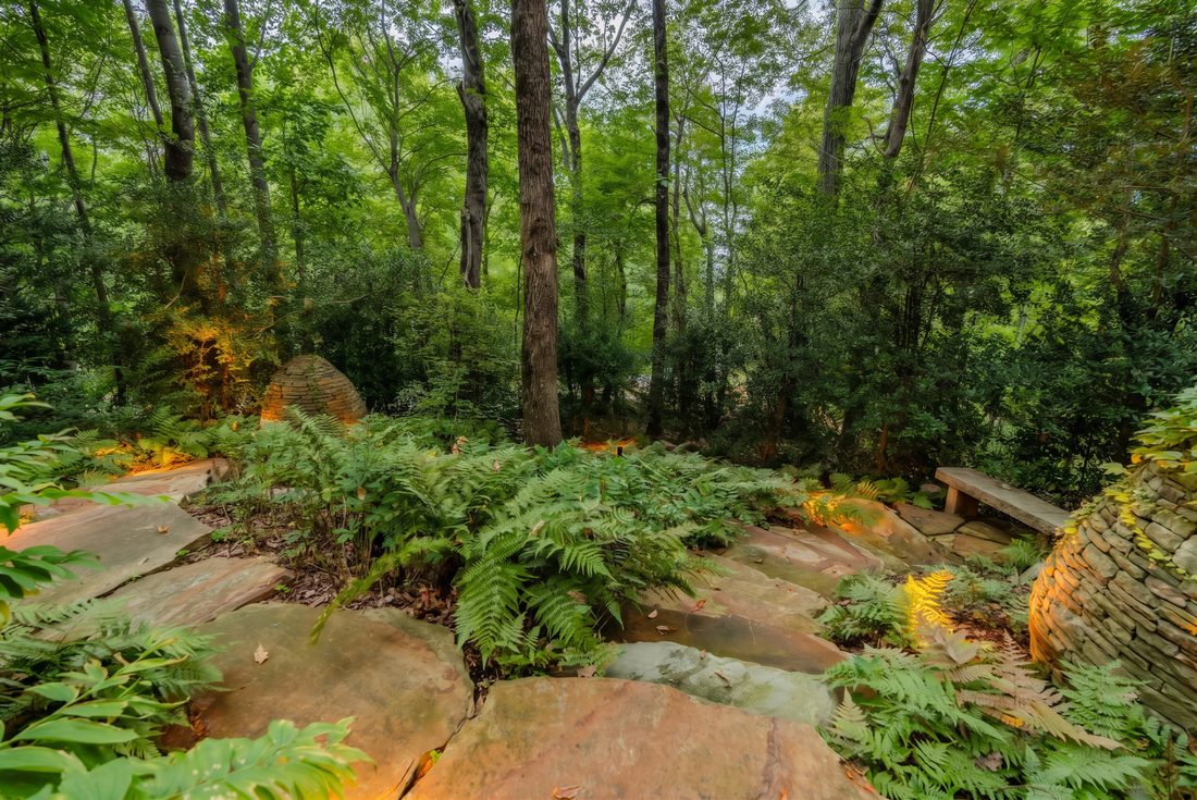 The fernery